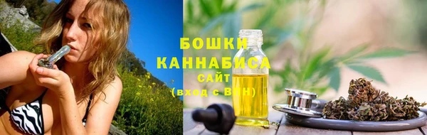 спиды Инсар