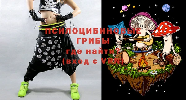 спиды Инсар