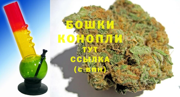спиды Инсар